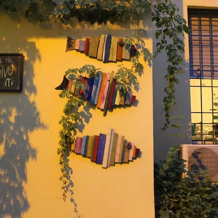The Beehive Auberge de jeunesse *