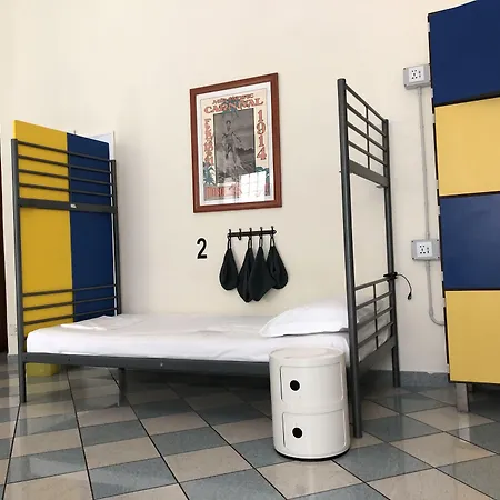 Hostel The Beehive *