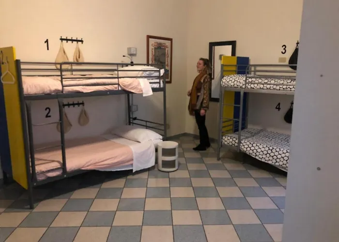 The Beehive Hostel *