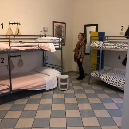 The Beehive Hostel *