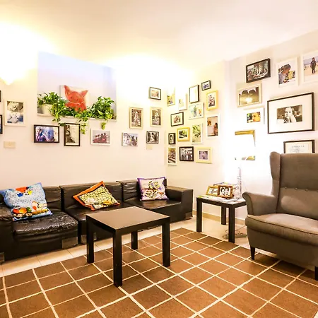 Hostel The Beehive